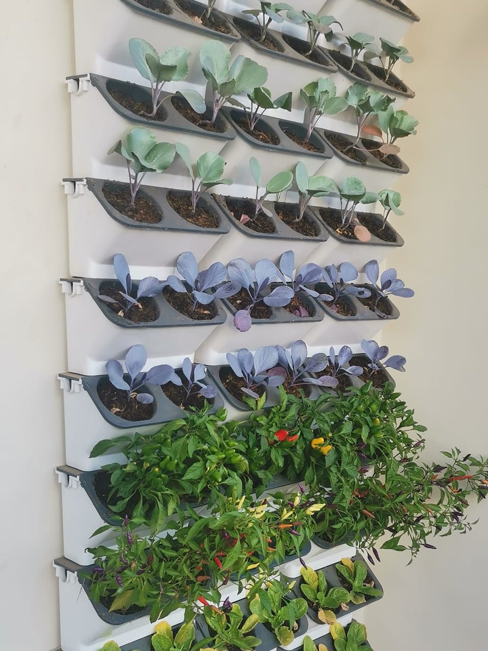 Green Wall