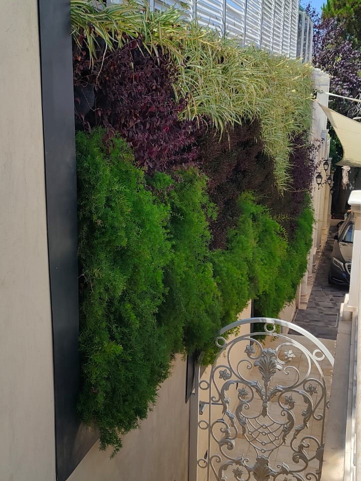 Green Wall