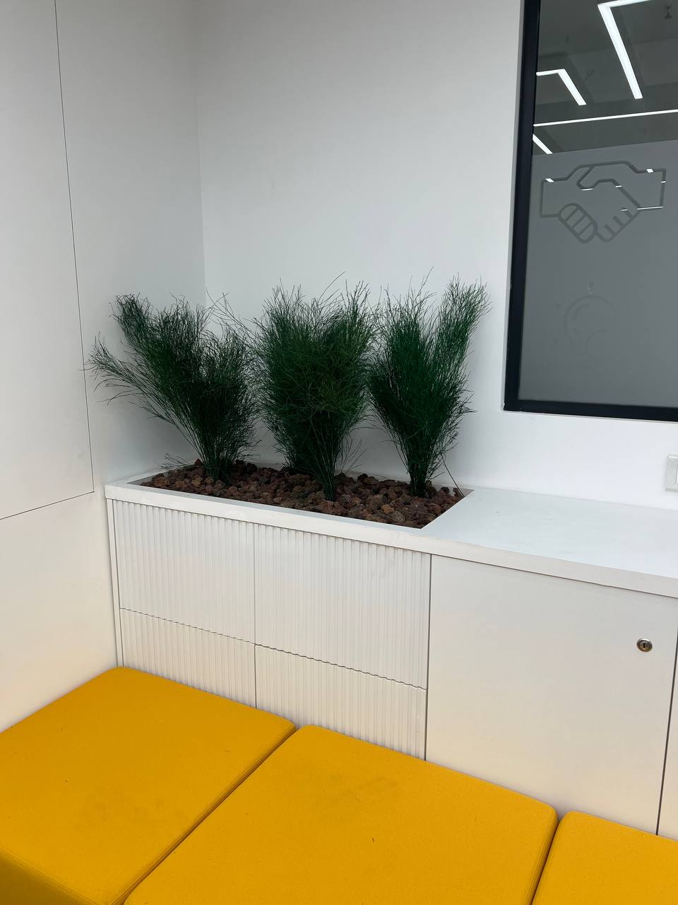 Preserved plants